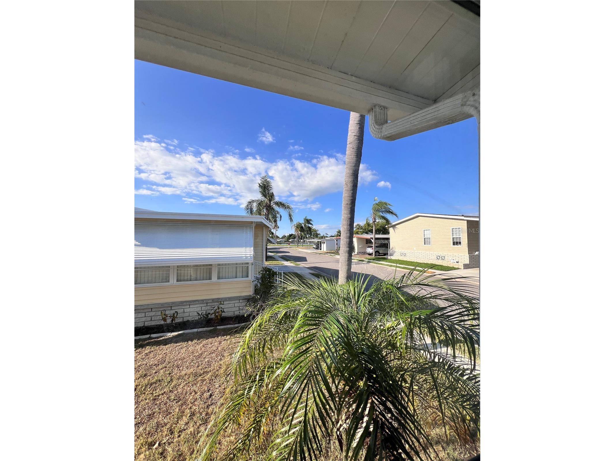 1100 Belcher Road S #260 Largo FL 33771 TB8493990 image7