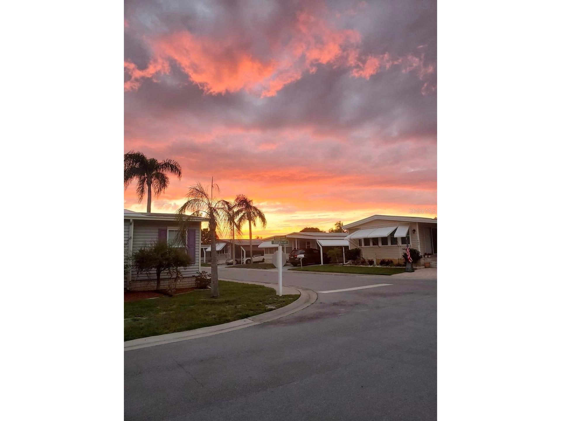 1100 Belcher Road S #260 Largo FL 33771 TB8493990 image79
