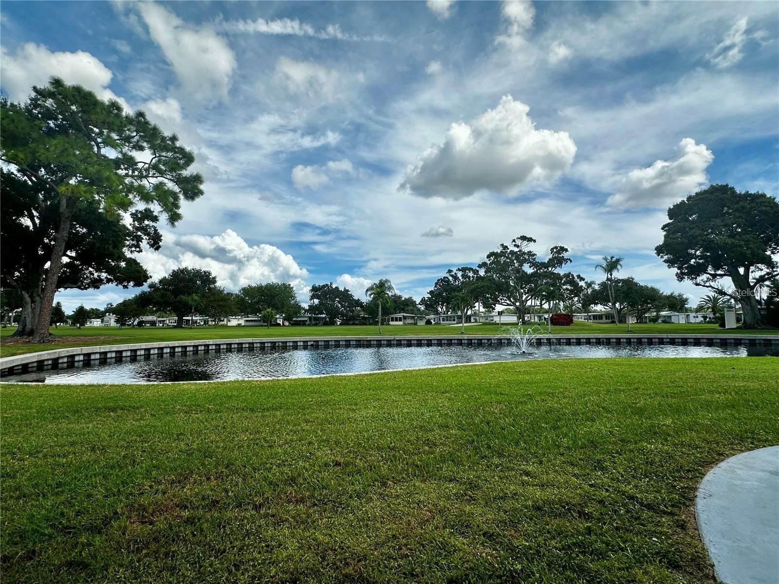 1100 Belcher Road S #304 Largo FL 33771 TB8499986 image27