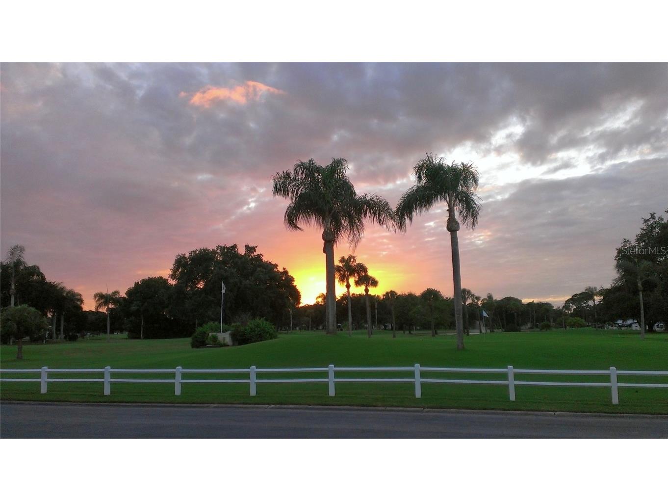 1100 Belcher Road S #343 Largo FL 33771 TB8433280 image73