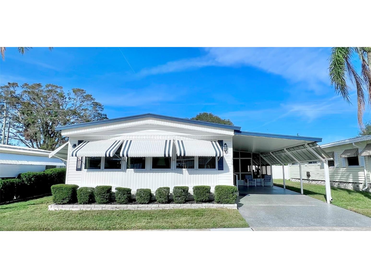 1100 Belcher Road S #358 Largo FL 33771 TB8334185 image1