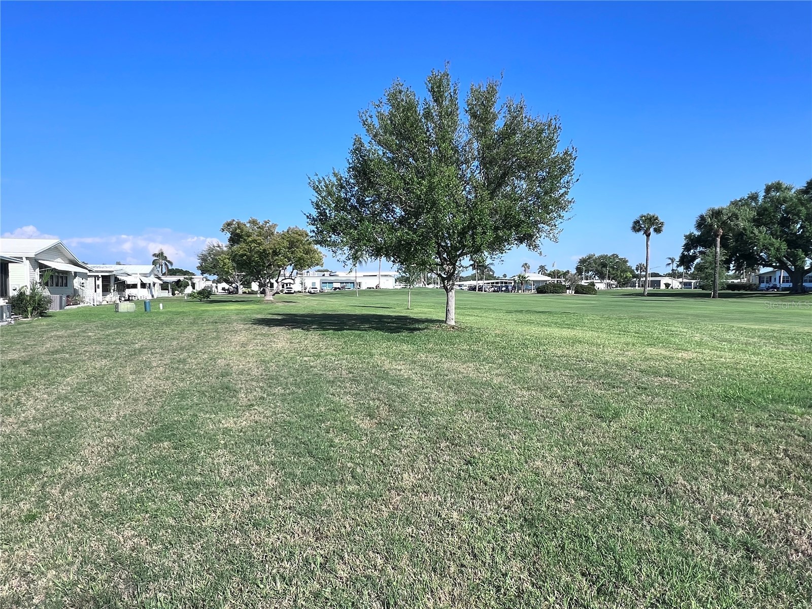 1100 Belcher Road S #416 Largo FL 33771 TB8495691 image52
