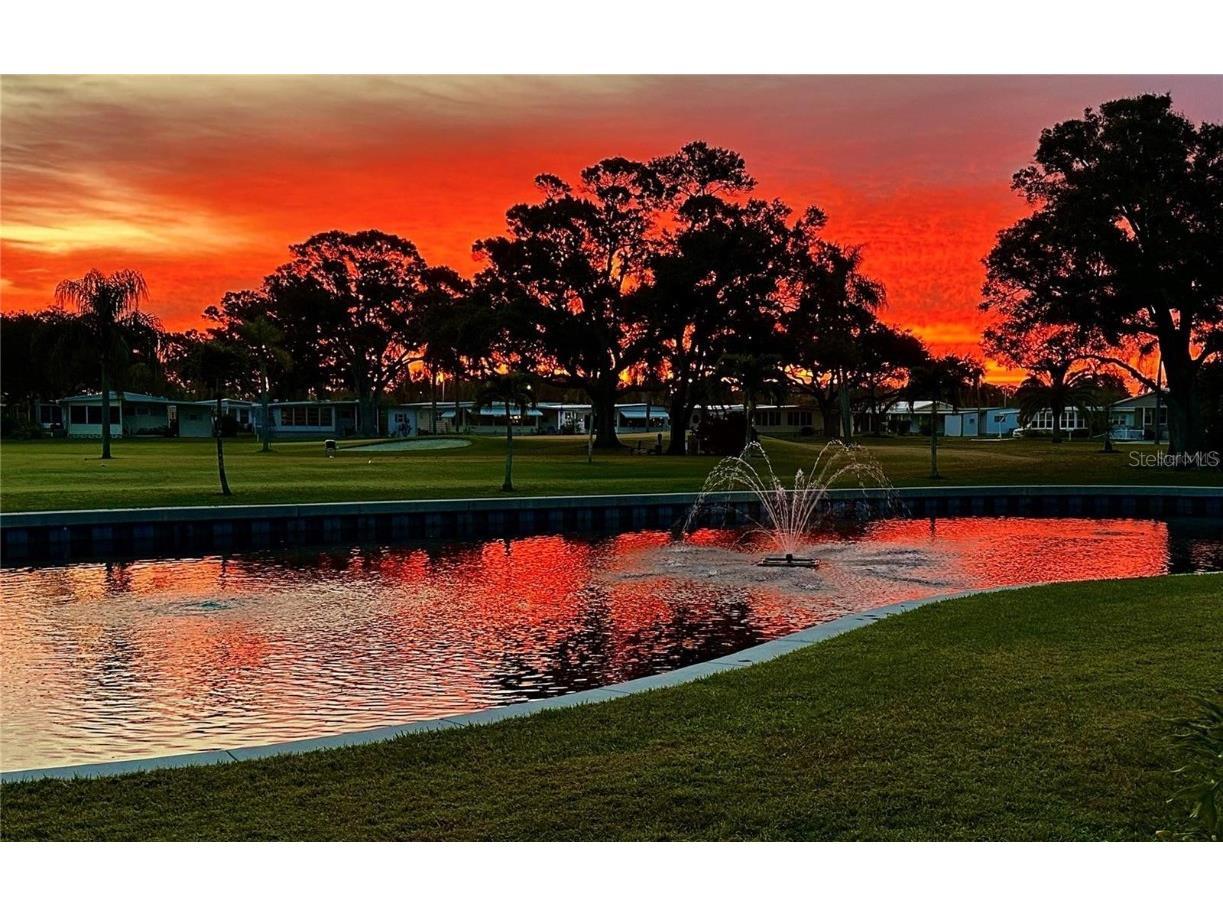 1100 Belcher Road S #454 Largo FL 33771 TB8434752 image1