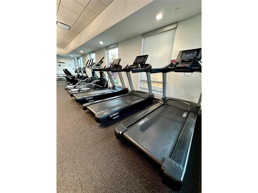 1100 Belcher Road S #454 Largo FL 33771 TB8434752 image42