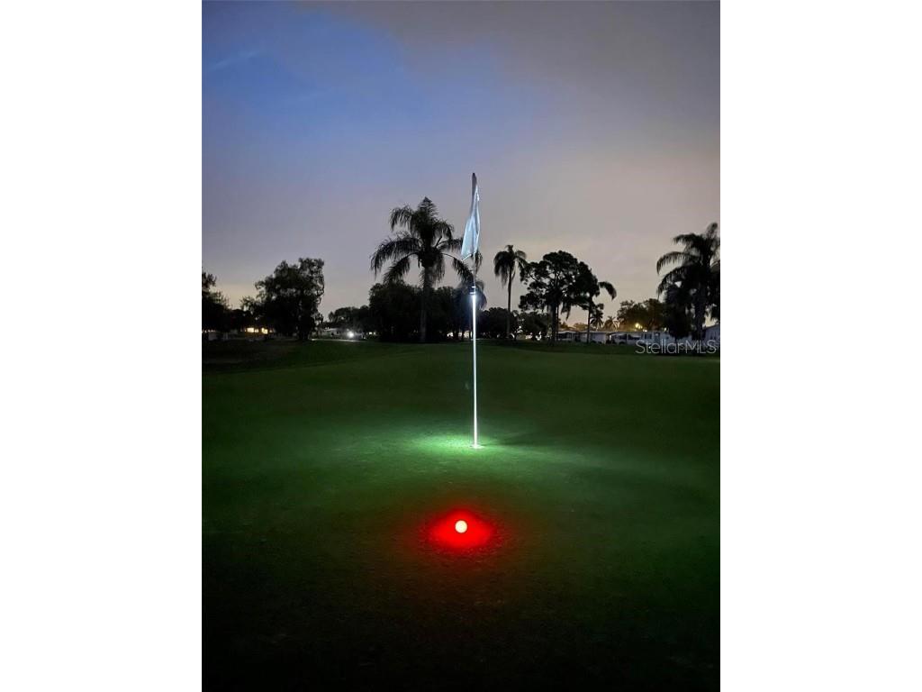 1100 Belcher Road S #454 Largo FL 33771 TB8434752 image50