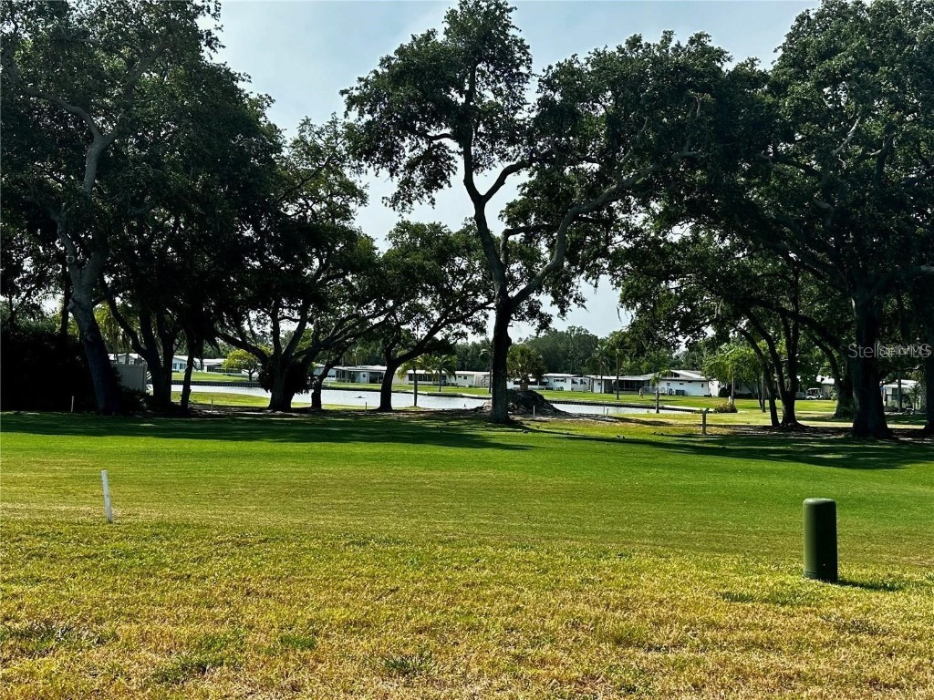 1100 Belcher Road S #454 Largo FL 33771 TB8434752 image52