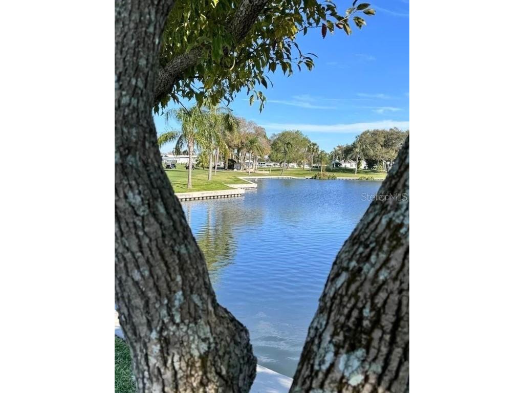 1100 Belcher Road S #454 Largo FL 33771 TB8434752 image60