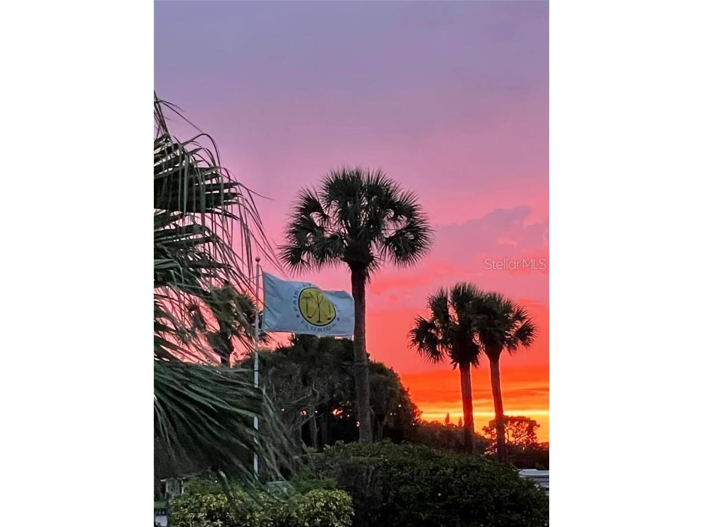 1100 Belcher Road S #454 Largo FL 33771 TB8434752 image62