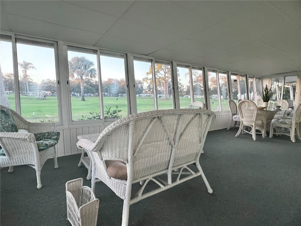 1100 Belcher Road S #469 Largo FL 33771 TB8461718 image41