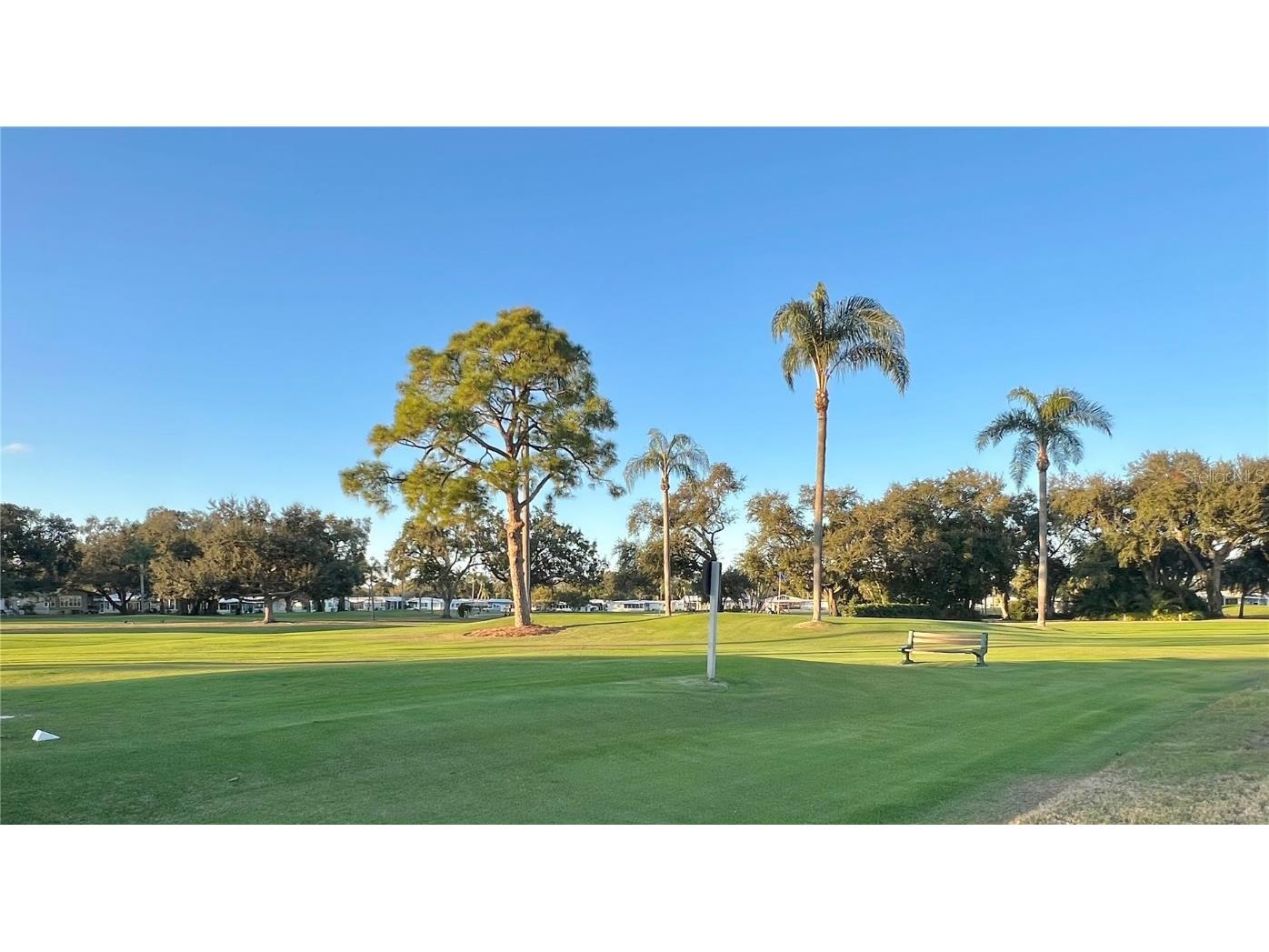 1100 Belcher Road S #469 Largo FL 33771 TB8461718 image45