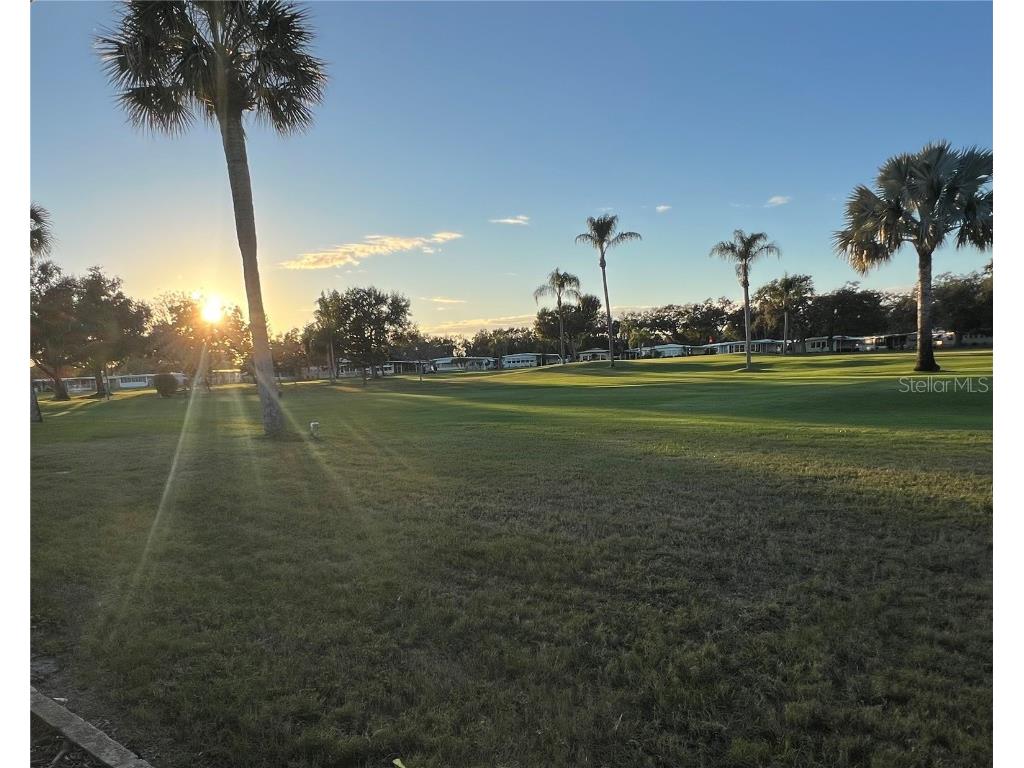 1100 Belcher Road S #469 Largo FL 33771 TB8461718 image46