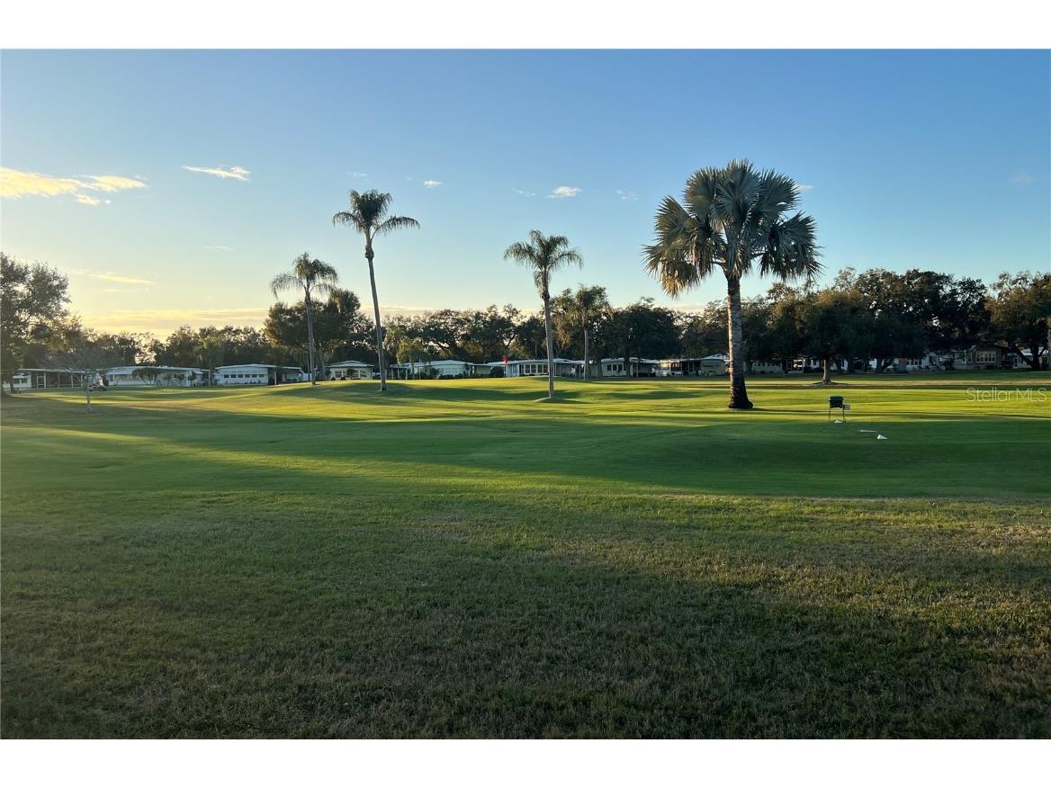 1100 Belcher Road S #469 Largo FL 33771 TB8461718 image47