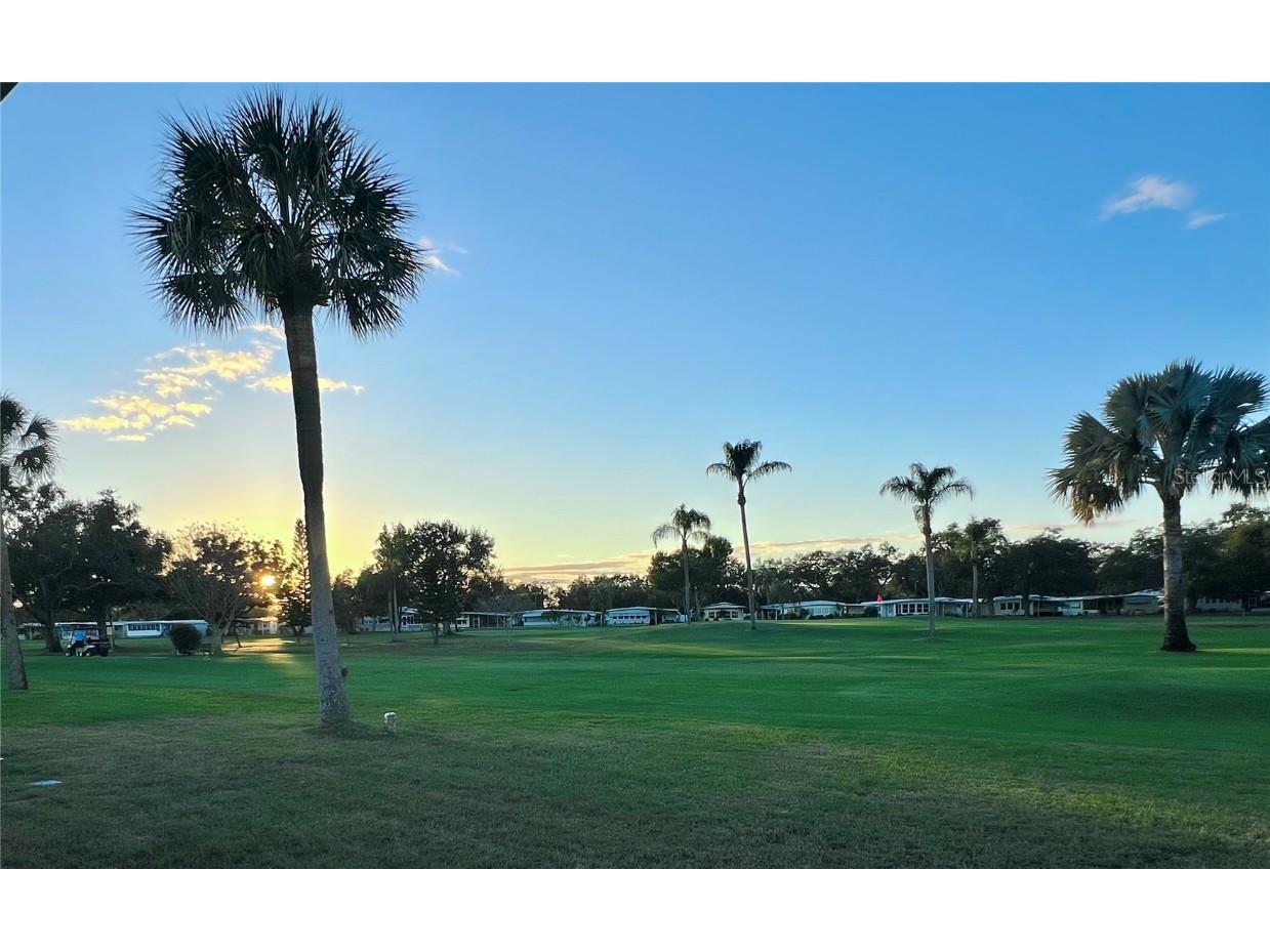 1100 Belcher Road S #469 Largo FL 33771 TB8461718 image6