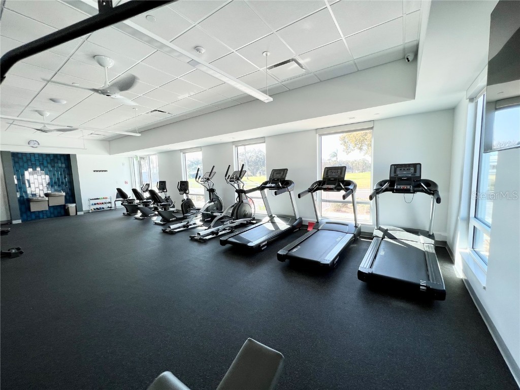 1100 Belcher Road S #469 Largo FL 33771 TB8461718 image67