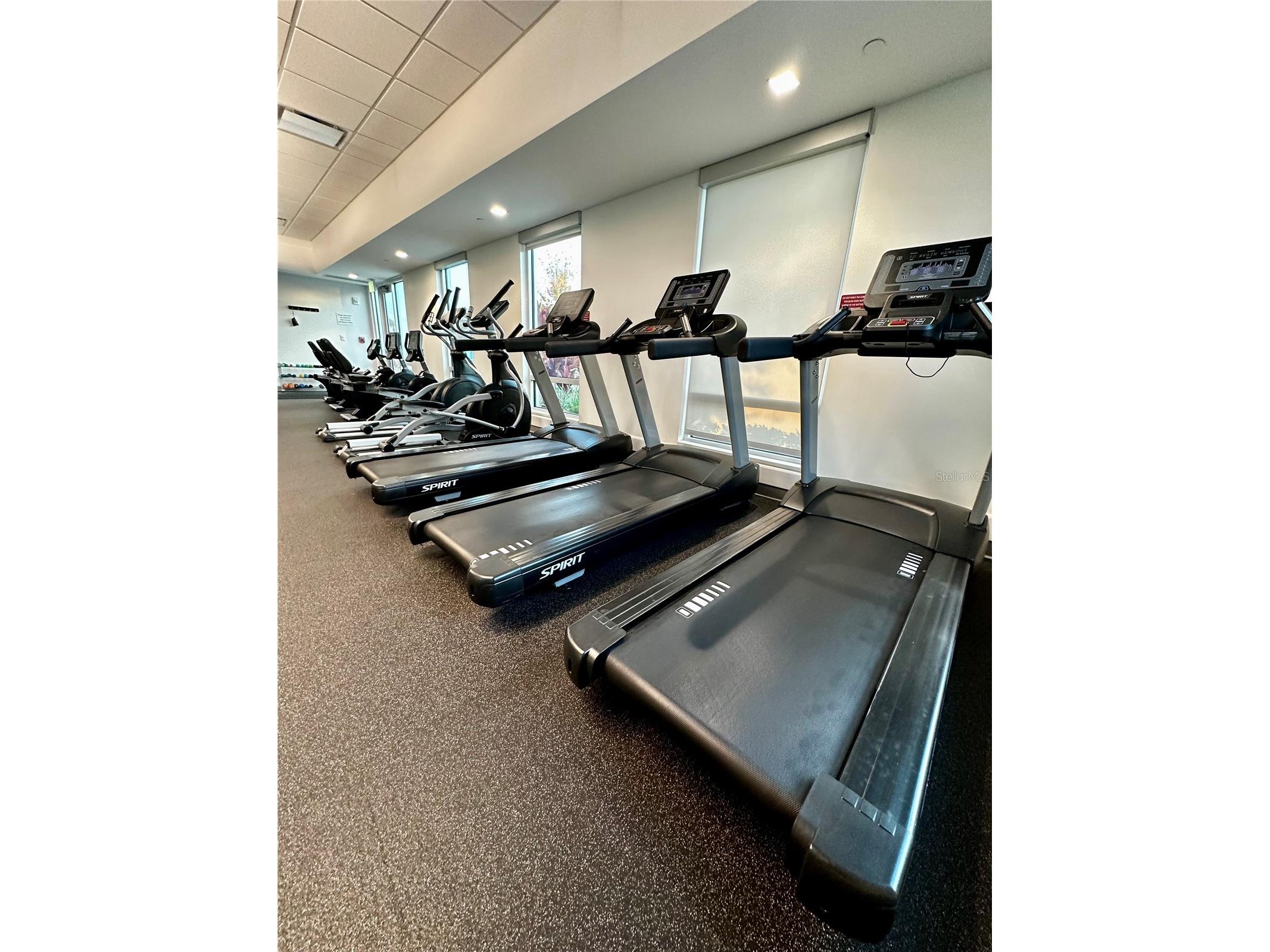 1100 Belcher Road S #498 Largo FL 33771 TB8495155 image30
