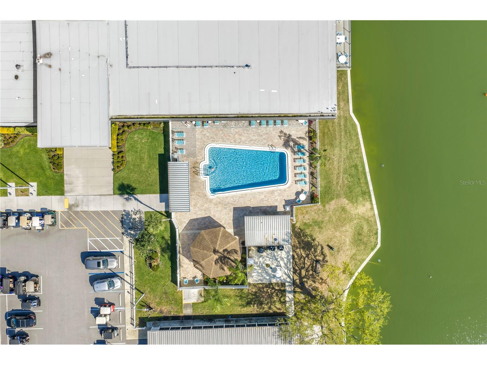 1100 Belcher Road S #502 Largo FL 33771 TB8486595 image33