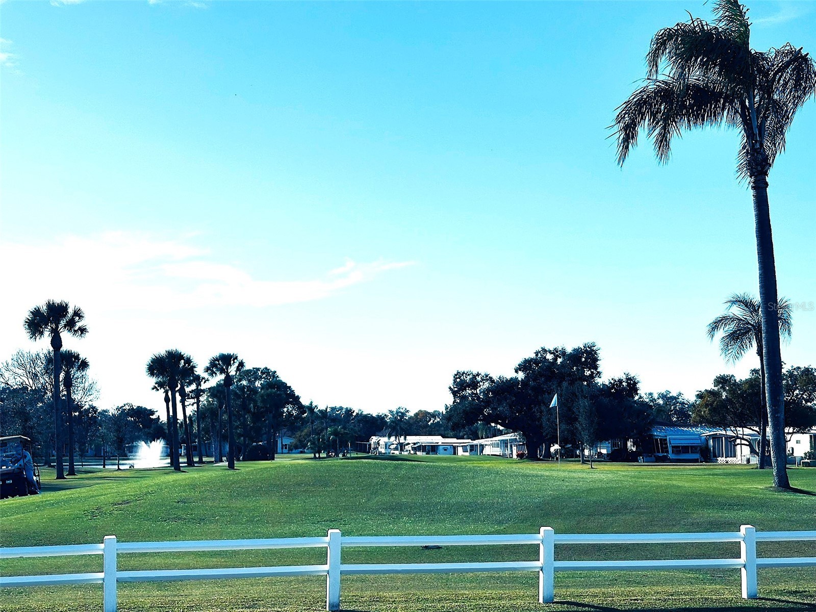 1100 Belcher Road S #508 Largo FL 33771 TB8466909 image21