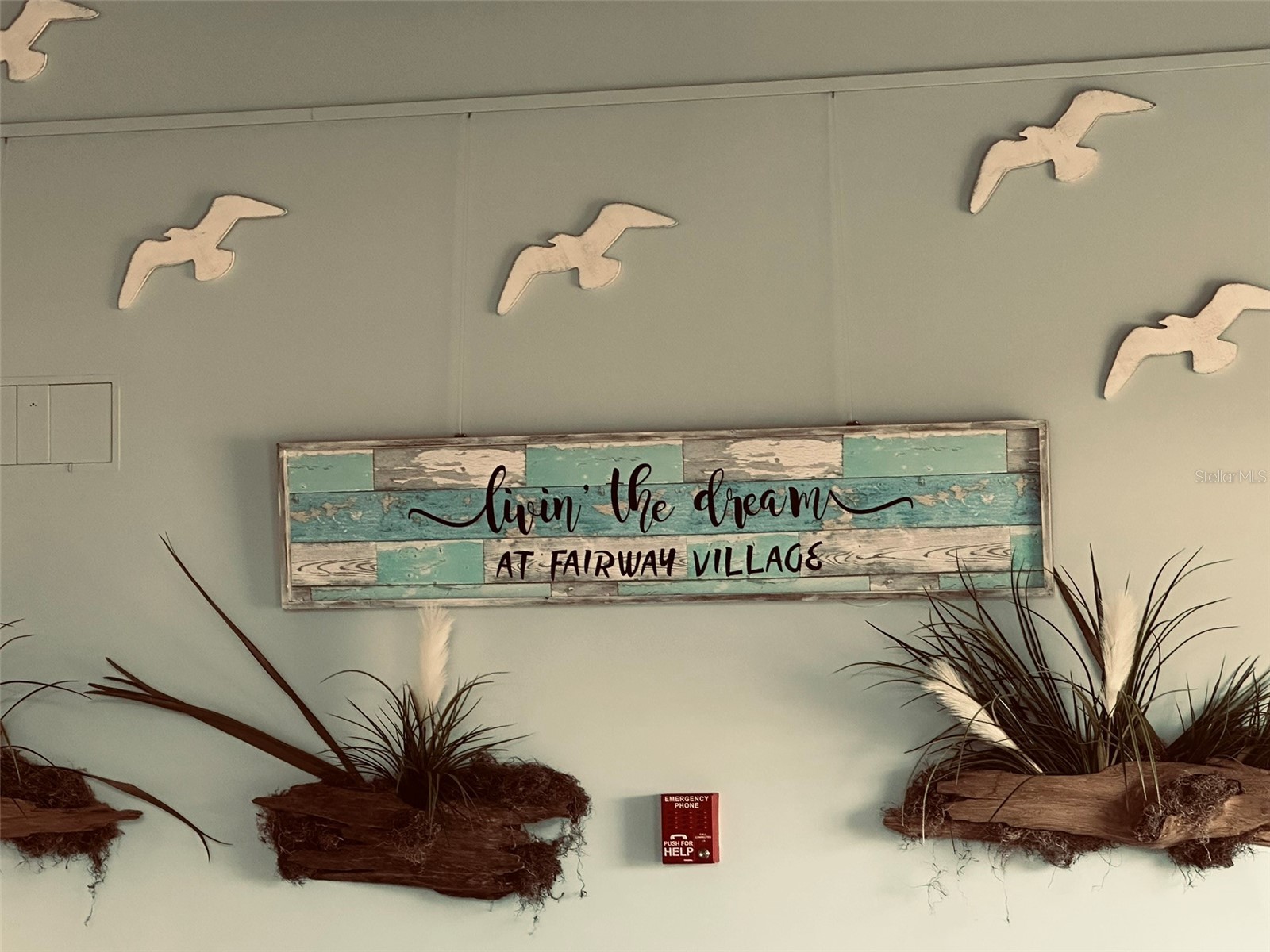 1100 Belcher Road S #508 Largo FL 33771 TB8466909 image22