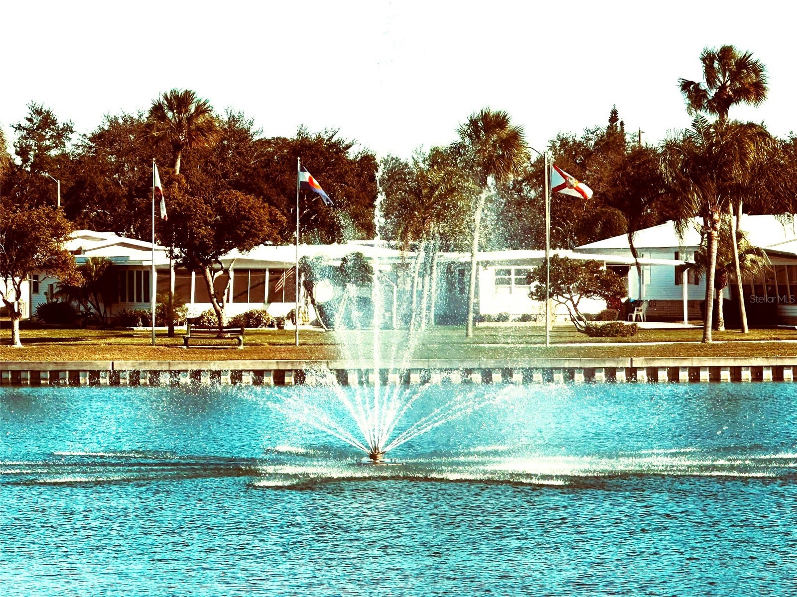 1100 Belcher Road S #508 Largo FL 33771 TB8466909 image25