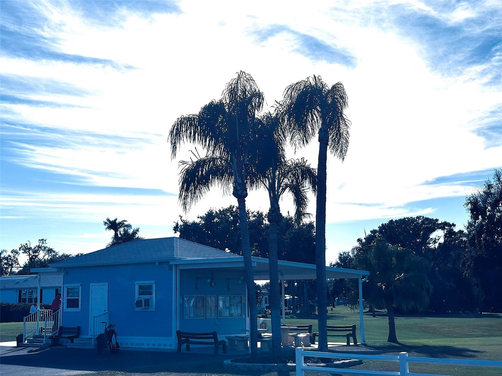 1100 Belcher Road S #508 Largo FL 33771 TB8466909 image28