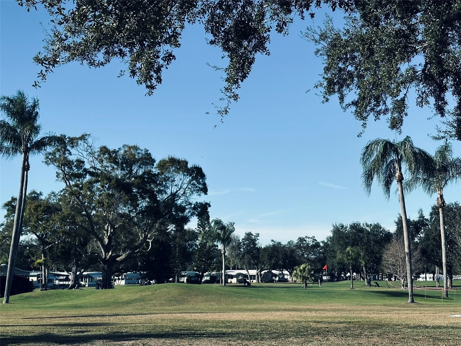 1100 Belcher Road S #508 Largo FL 33771 TB8466909 image3