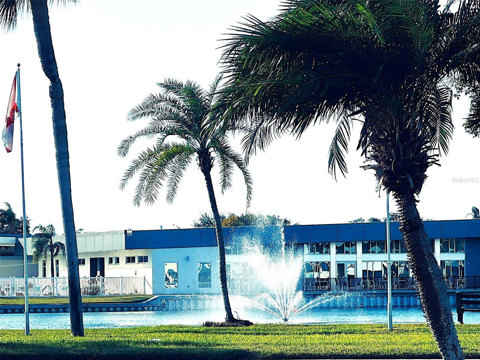 1100 Belcher Road S #508 Largo FL 33771 TB8466909 image30