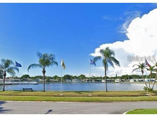 1100 Belcher Road S #523 Largo FL 33771 TB8439479 image24