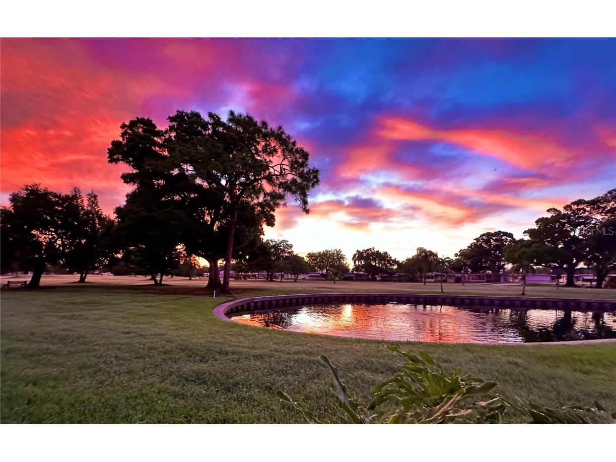 1100 Belcher Road S #523 Largo FL 33771 TB8439479 image41