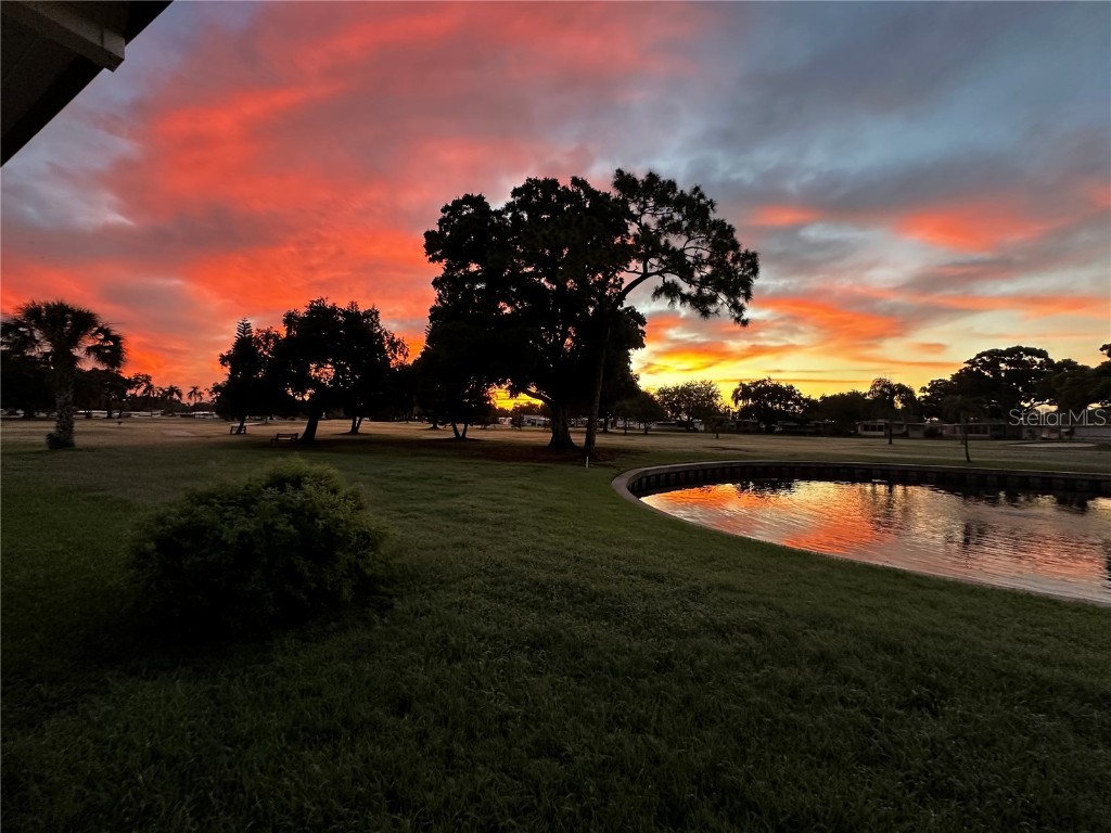 1100 Belcher Road S #523 Largo FL 33771 TB8439479 image42