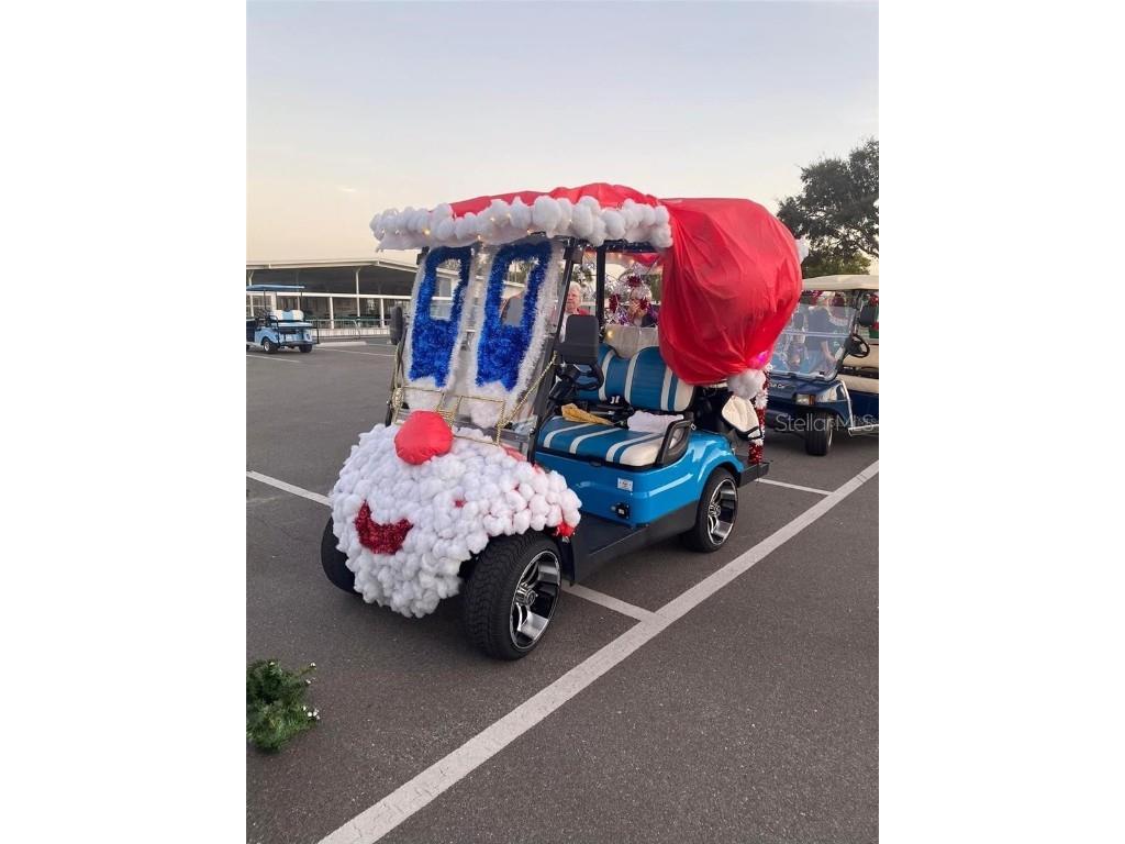 1100 Belcher Road S #523 Largo FL 33771 TB8439479 image48