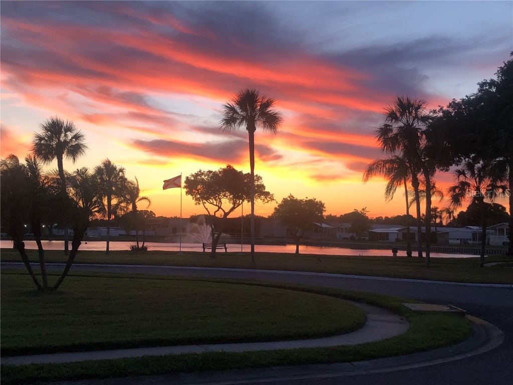 1100 Belcher Road S #57 Largo FL 33771 TB8325005 image59