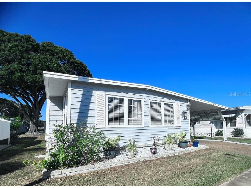 1100 Belcher Road S #604 Largo FL 33771 TB8448797 image4