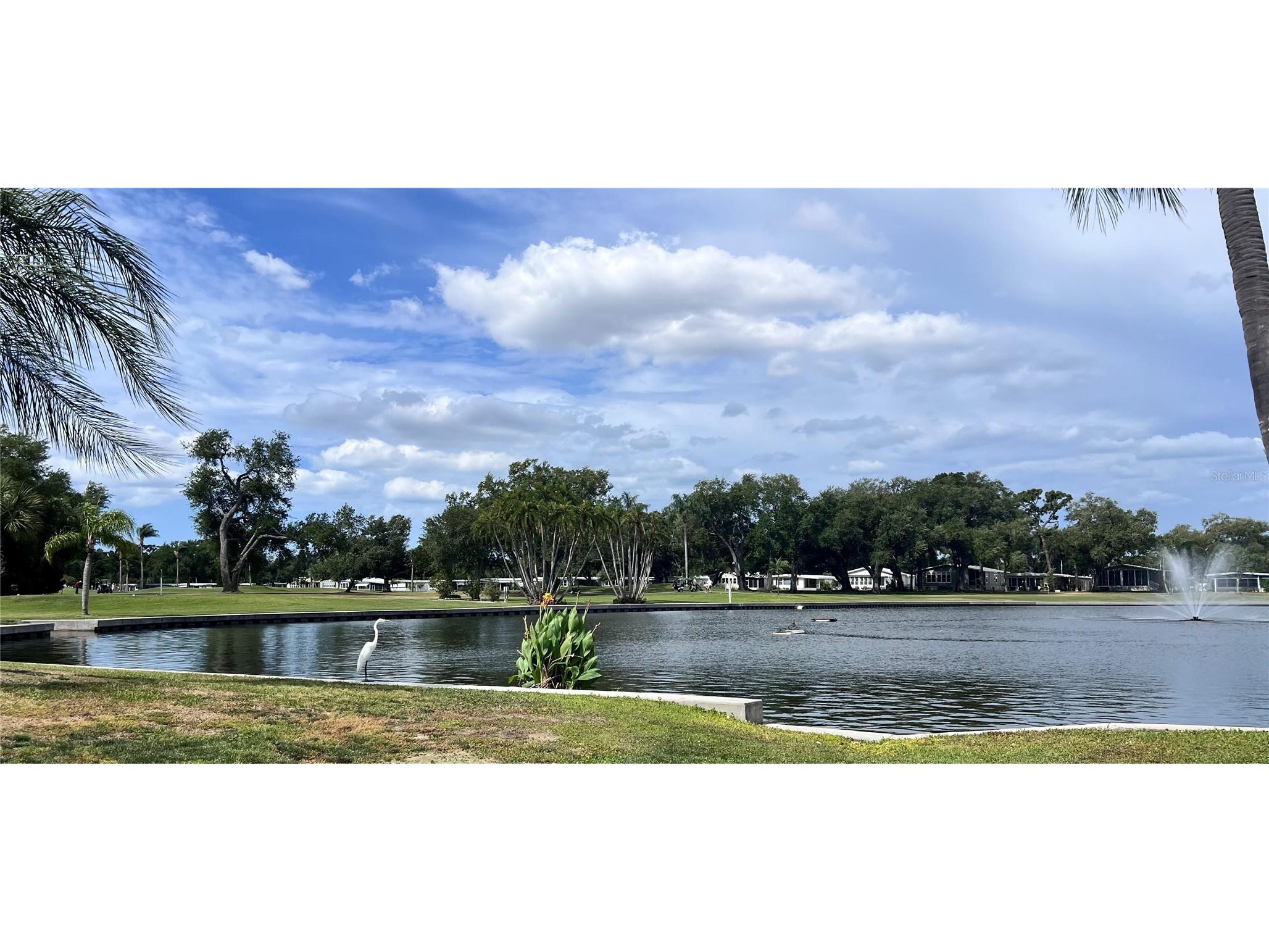 1100 Belcher Road S #633 Largo FL 33771 TB8517174 image62