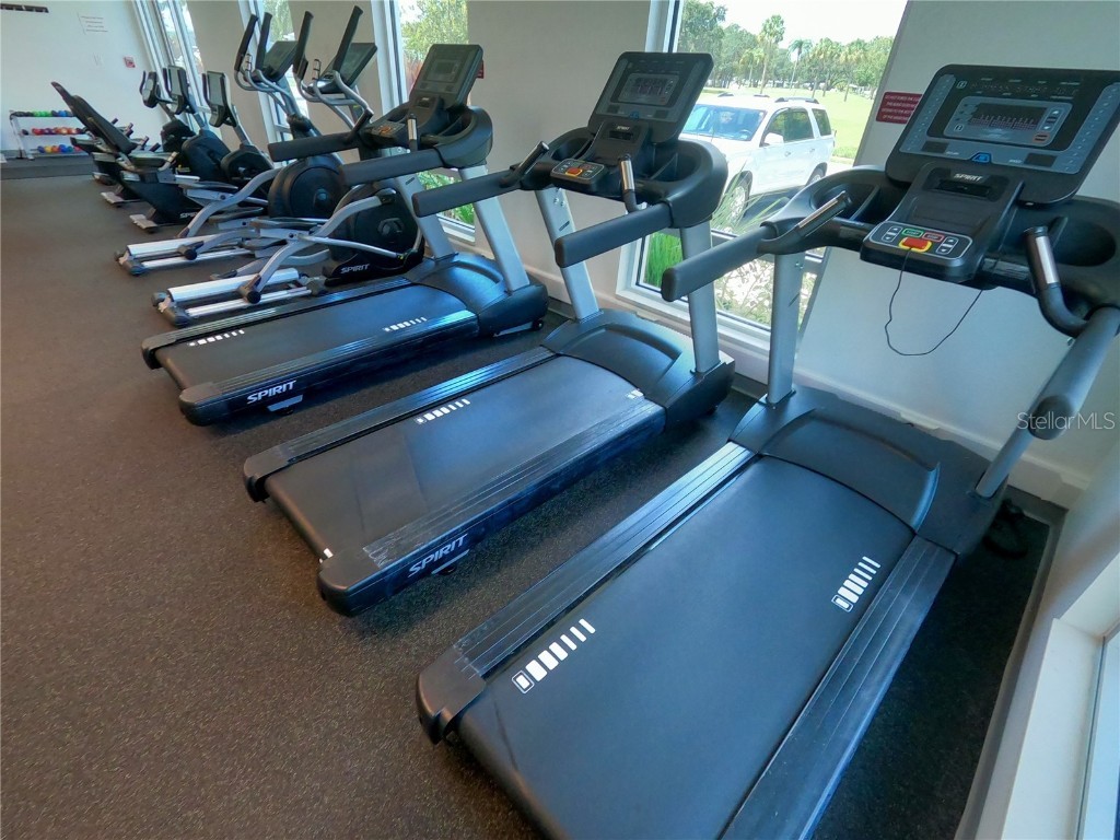 1100 Belcher Road S #64 Largo FL 33771 TB8368116 image47