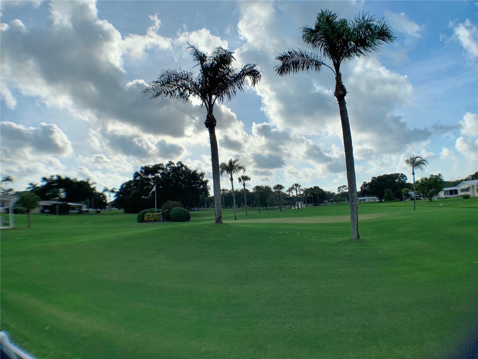 1100 Belcher Road S #663 Largo FL 33771 TB8499985 image65