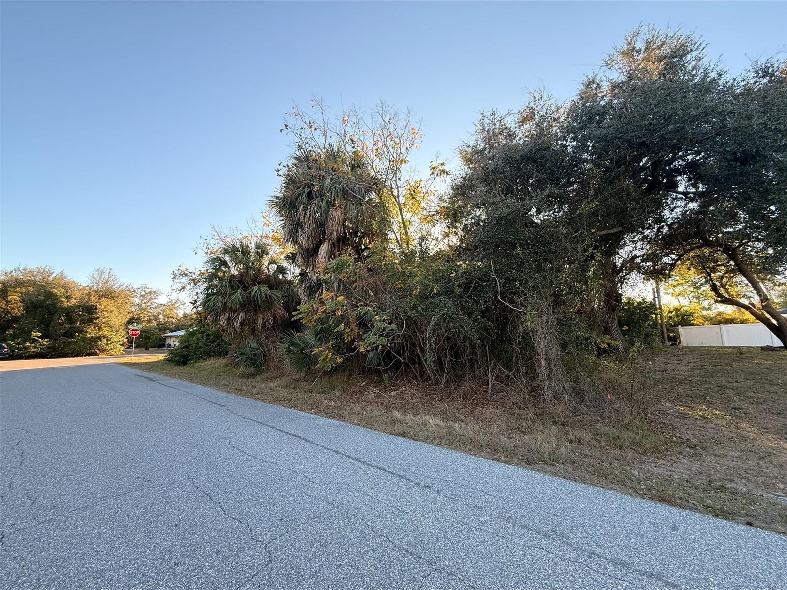 1100 Belmar Avenue Port Charlotte FL 33948 O6406461 image3