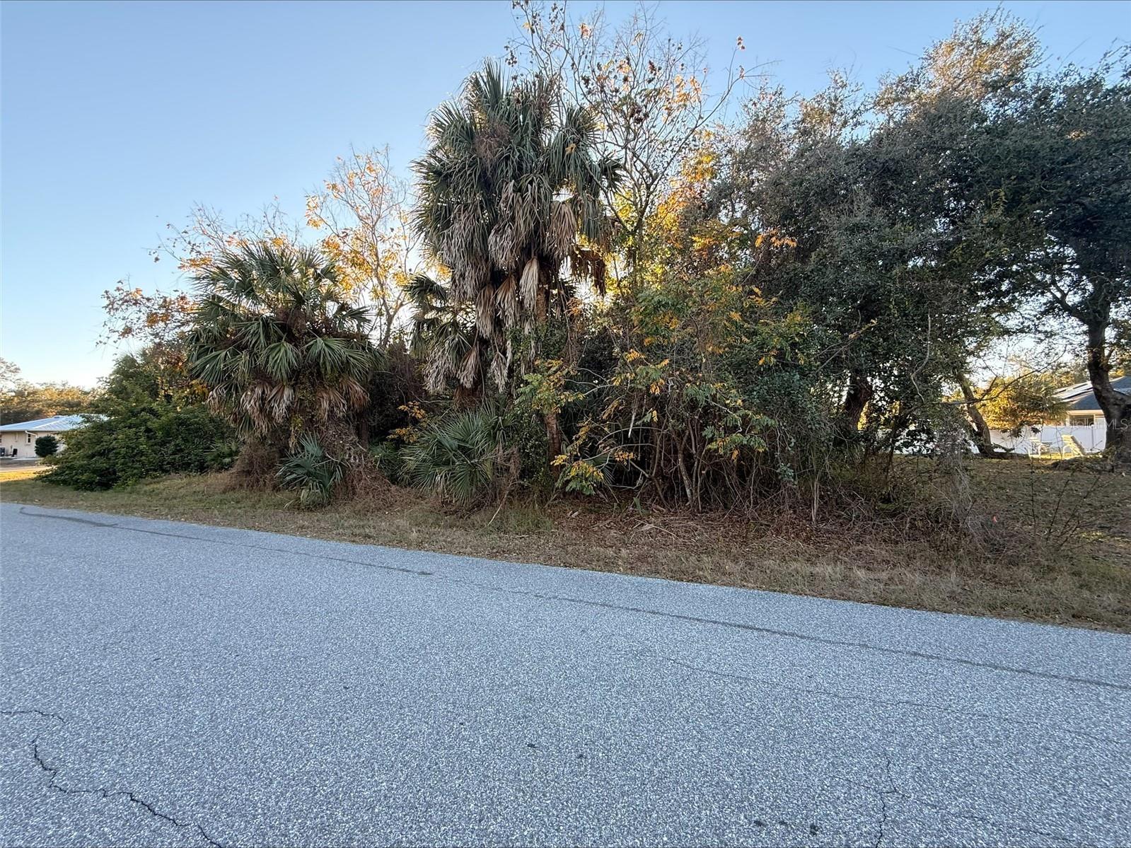 1100 Belmar Avenue Port Charlotte FL 33948 O6406461 image4