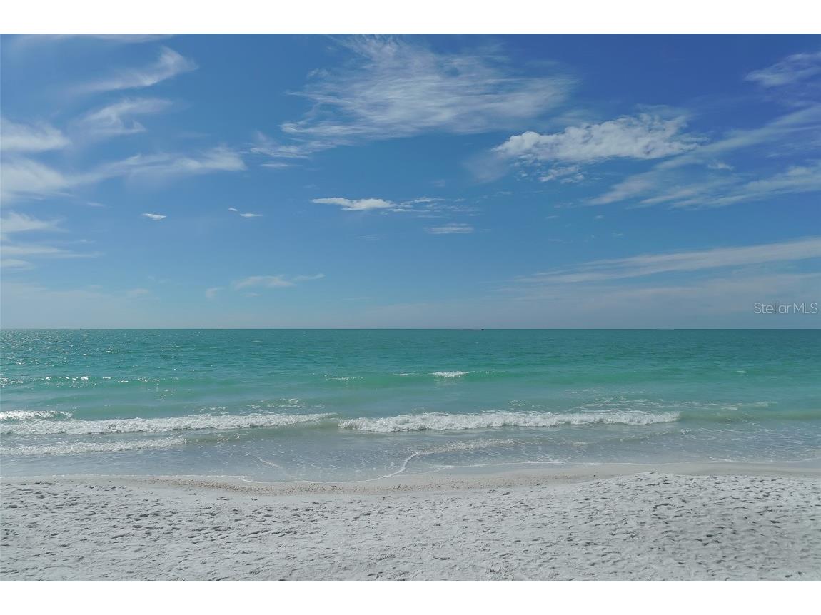 1100 Benjamin Franklin Drive #604 Sarasota FL 34236 - GULF OF MEXICO A4666274 image63
