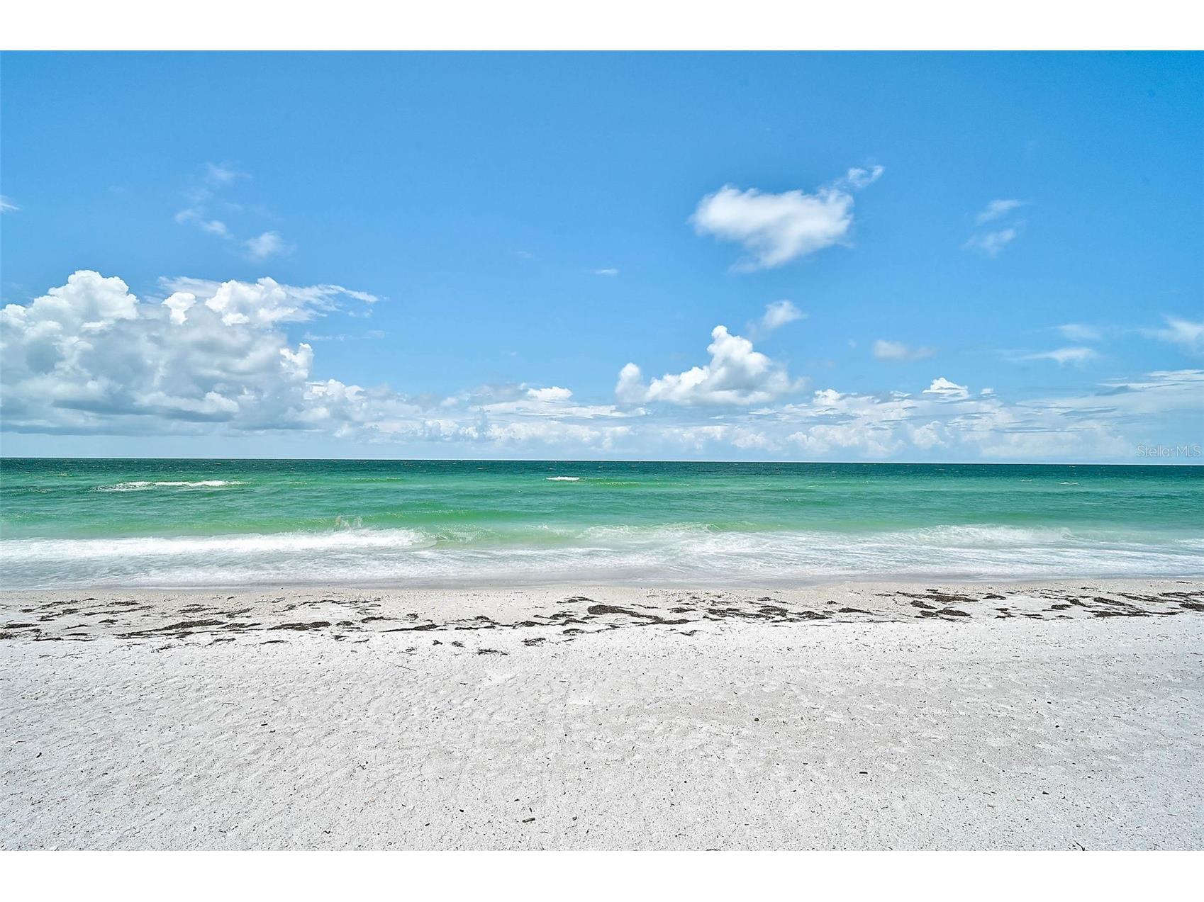 1100 Benjamin Franklin Drive #802 Sarasota FL 34236 A4653904 image36