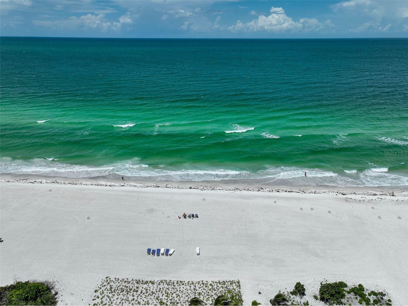 1100 Benjamin Franklin Drive #802 Sarasota FL 34236 A4653904 image43