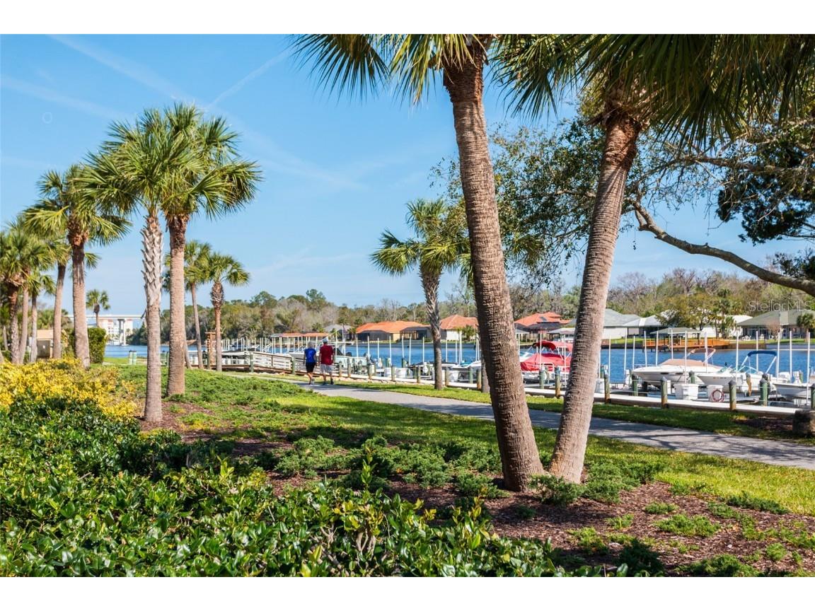 1100 Canopy Walk Lane #1113 Palm Coast FL 32137 FC310162 image31