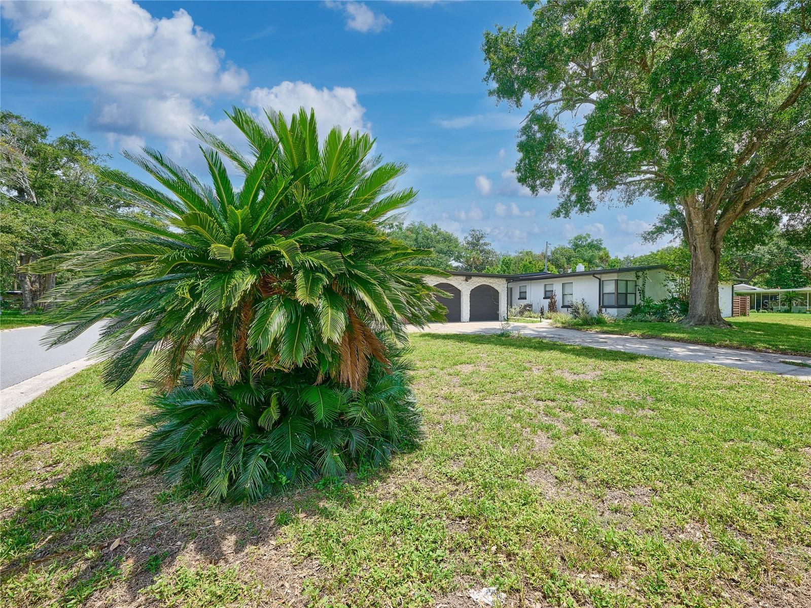 1100 Cornell Drive Sanford FL 32771 C7527696 image6