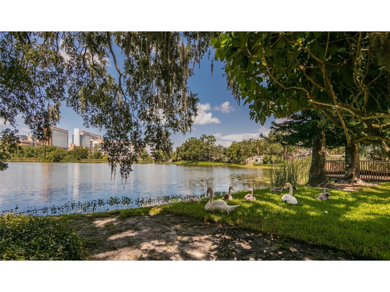 1100 Delaney Avenue #G23 Orlando FL 32806 - LAKE COPELAND O6355869 image59