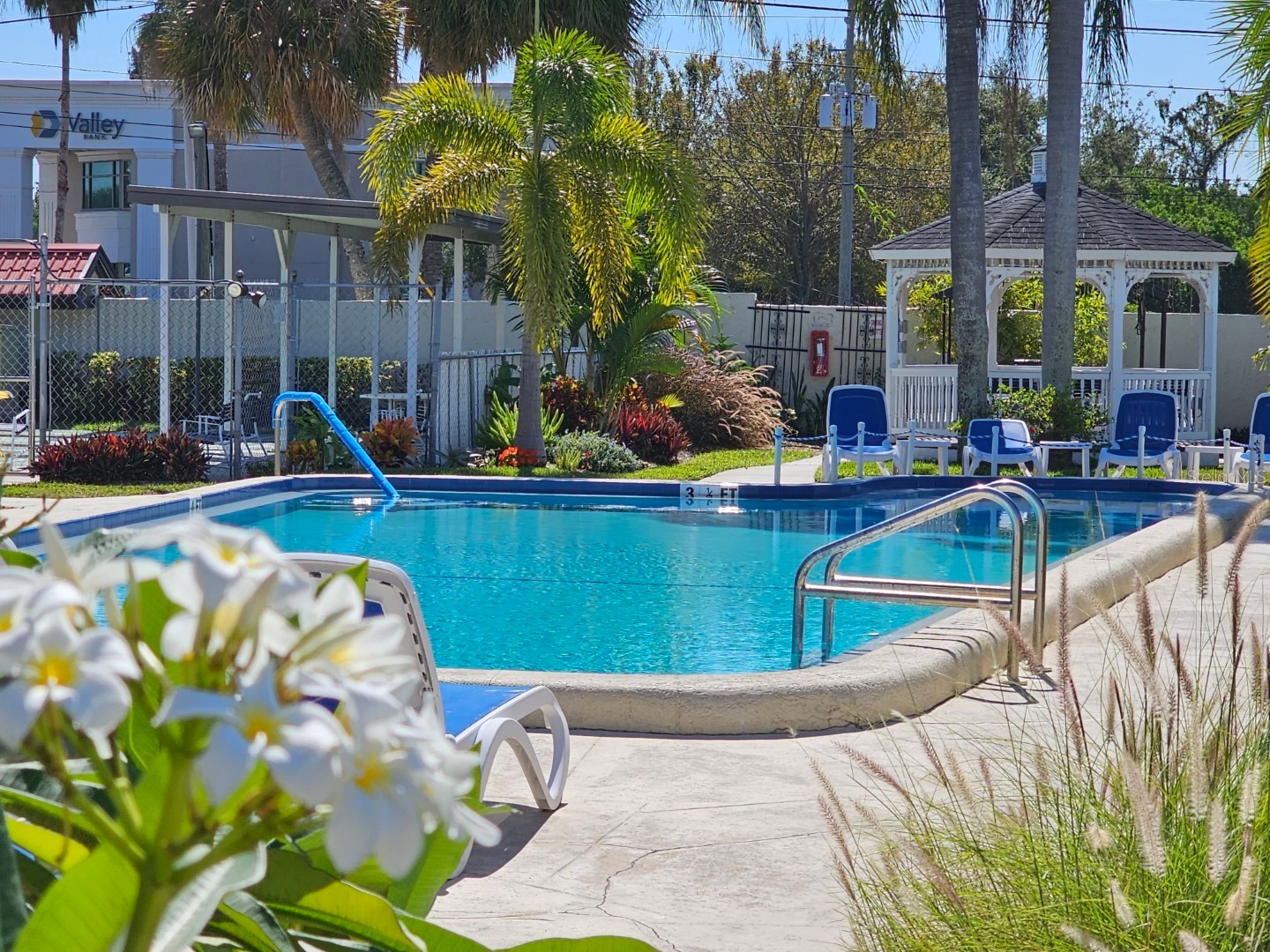 1100 E Bay Drive #105 Largo FL 33770 TB8502237 image1