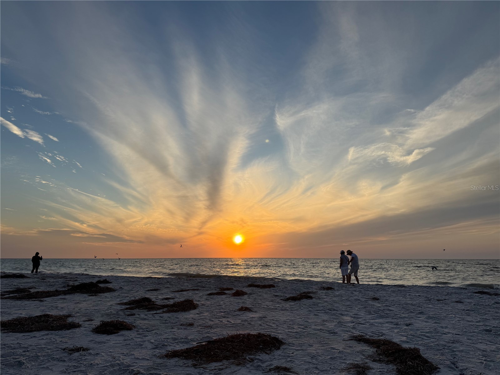 1100 E Bay Drive #35 Largo FL 33770 TB8462972 image29