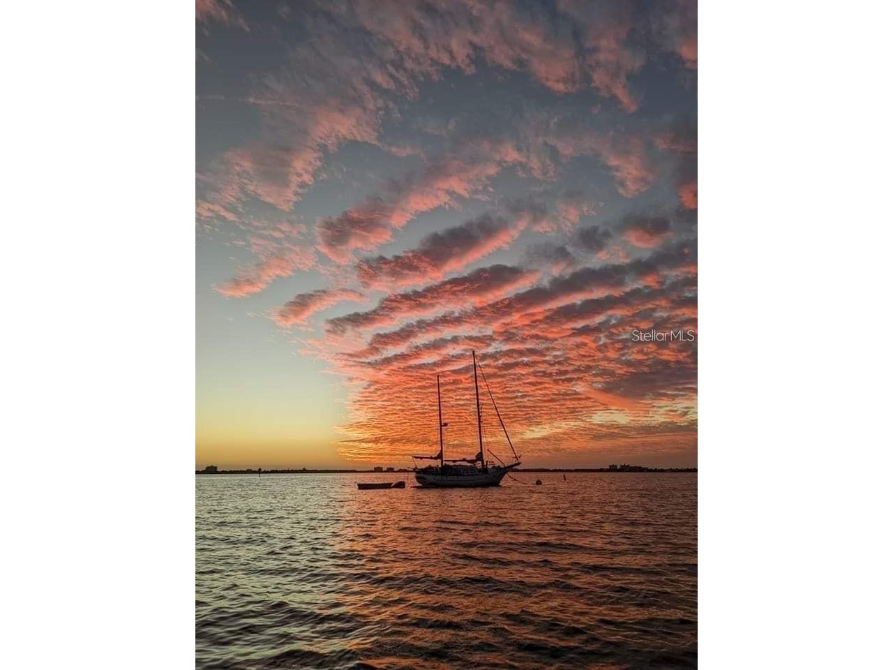 1100 E Bay Drive #35 Largo FL 33770 TB8462972 image32