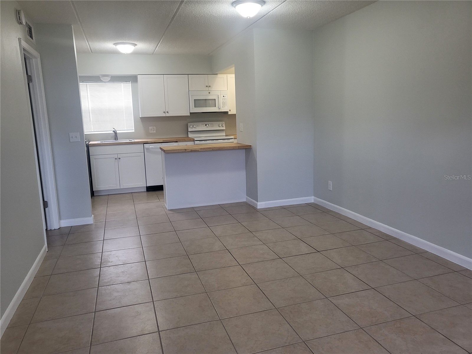 1100 E Caroline Street #115 Tavares FL 32778 OM711980 image10