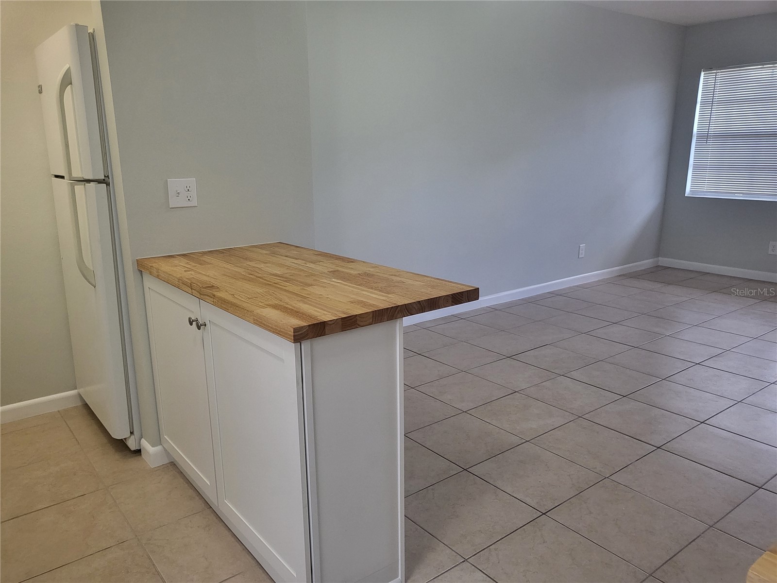 1100 E Caroline Street #115 Tavares FL 32778 OM711980 image11