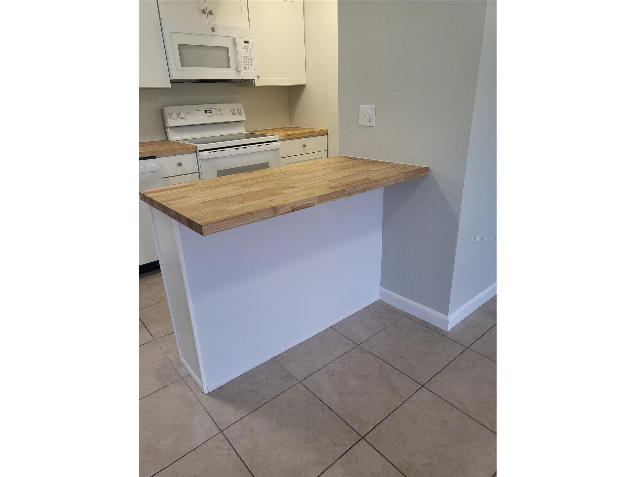 1100 E Caroline Street #115 Tavares FL 32778 OM711980 image12