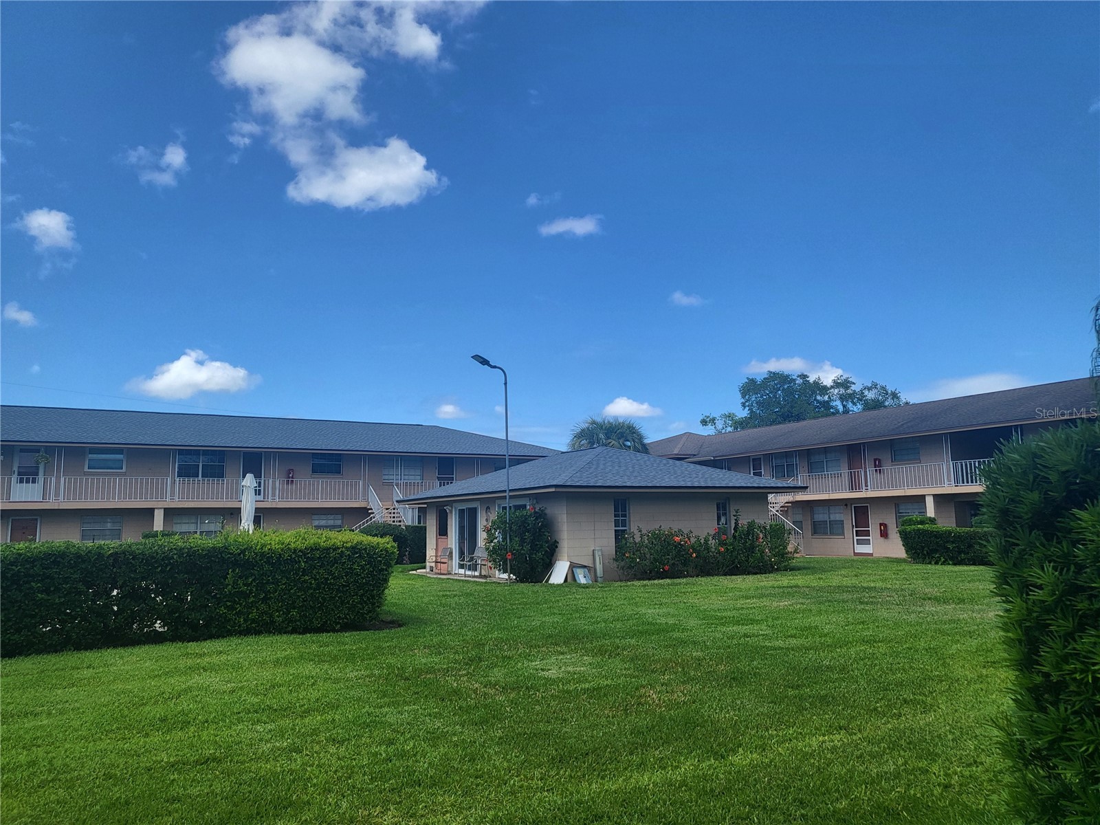 1100 E Caroline Street #115 Tavares FL 32778 OM711980 image2